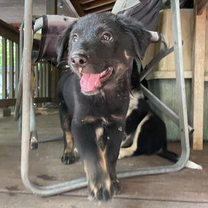 Fundraising Page: Jennifer Cutler